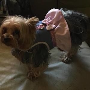 Meet your Posher, Gloria